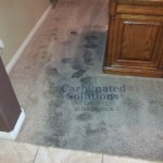 www.carbonatedsolutionsoflasvegas.com/Pet urine treatment by Carbonated Solutions carpet cleaners