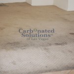 www.carbonatedsolutionsoflasvegas.com/Carbonated Solutions carpet cleaners can handle any level of soiling