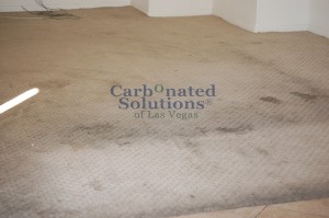 www.carbonatedsolutionsoflasvegas.com Carpet cleaning Las Vegas Carbonated Solutions