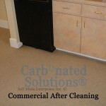 www.carbonatedsolutionsoflasvegas.com/commercial-carpet-cleaning-las-vegas