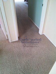 www.carbonatedsolutionsoflasvegas.com/Las vegas carpet cleaning Carbonated Solutions of Las Vegas