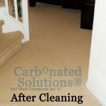 www.carbonatedsolutionsoflasvegas.com/ Carbonated Solutions Of Las Vegas Carpet cleaners