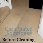 www.carbonatedsolutionsoflasvegas.com/Carbonated Solutions carpet cleaners